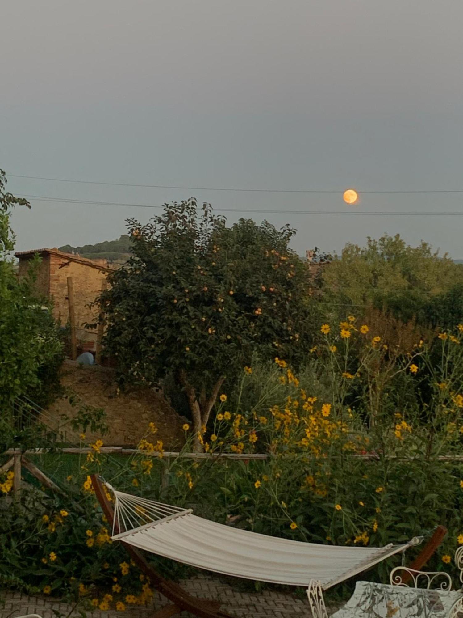 Casa Cerboneschi Panzió Casale Marittimo Kültér fotó
